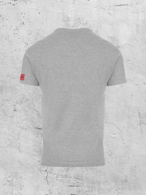 T-Shirt z krótkim rękawem szary